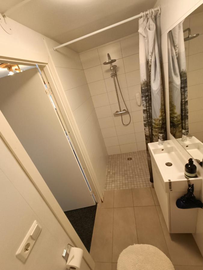 Arsalir Guesthouse Vik B&B Zewnętrze zdjęcie